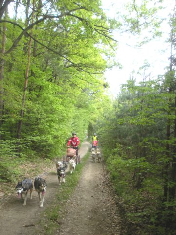 dscn2561.jpg