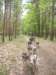 dscn2563_small.jpg