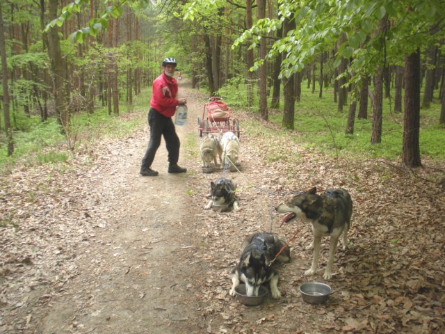 dscn2565.jpg