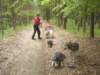 dscn2565_small.jpg