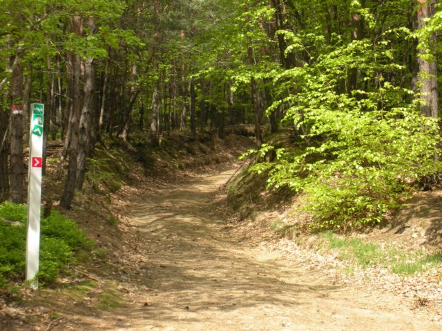 dscn2570.jpg