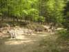 dscn2571_small.jpg