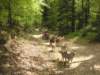dscn2573_small.jpg