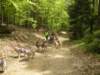 dscn2574_small.jpg