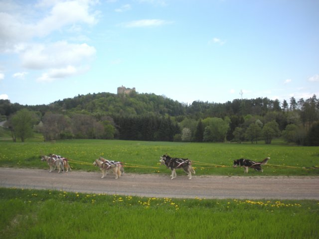dscn2575.jpg