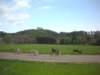 dscn2575_small.jpg