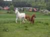 dscn2580_small.jpg