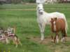 dscn2581_small.jpg