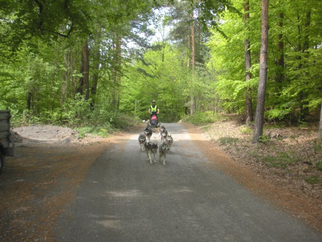 dscn2582.jpg