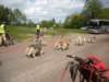 dscn2587_small.jpg