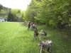 dscn2589_small.jpg