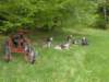 dscn2591_small.jpg