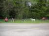 dscn2593_small.jpg