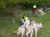 dscn2595_small.jpg
