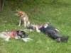 dscn2596_small.jpg