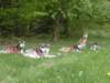 dscn2598_small.jpg