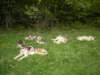 dscn2599_small.jpg