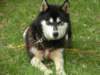 dscn2600_small.jpg
