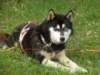 dscn2601_small.jpg