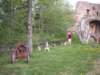 dscn2603_small.jpg