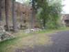dscn2604_small.jpg