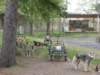 dscn2609_small.jpg