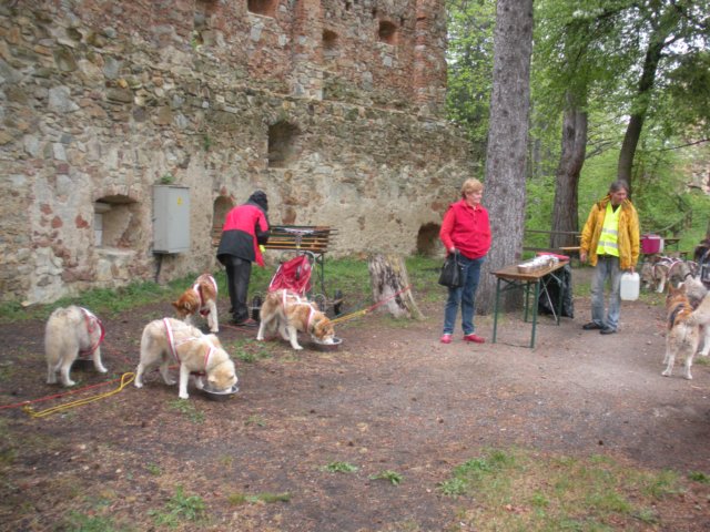 dscn2613.jpg