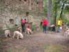 dscn2613_small.jpg