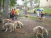 dscn2614_small.jpg