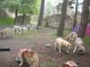 dscn2615_small.jpg