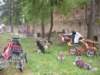 dscn2616_small.jpg