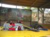 dscn2618_small.jpg