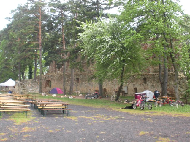 dscn2620.jpg