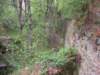 dscn2622_small.jpg