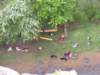dscn2638_small.jpg