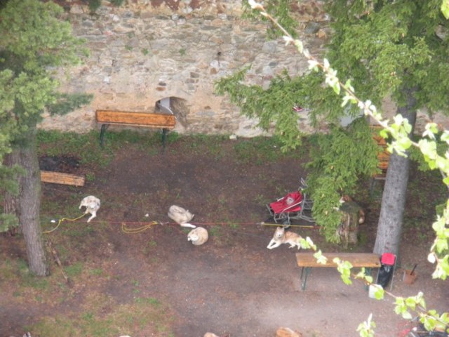 dscn2641.jpg