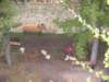 dscn2641_small.jpg