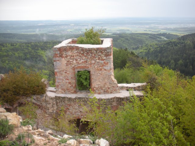 dscn2645.jpg