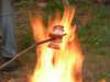 dscn2659_small.jpg