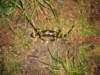 dscn2675_small.jpg