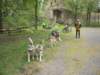 dscn2694_small.jpg
