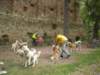 dscn2695_small.jpg