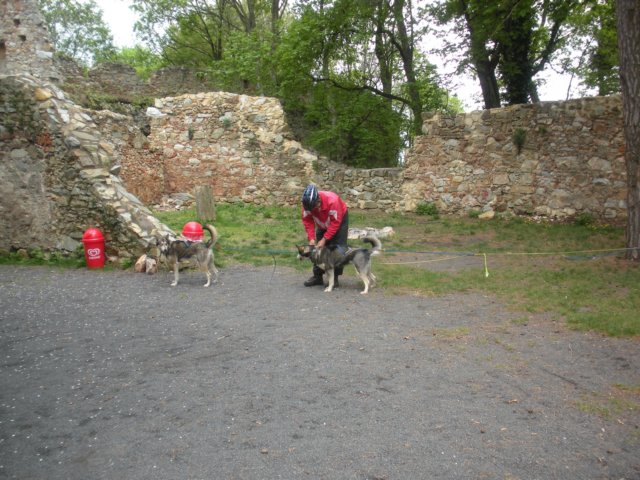 dscn2696.jpg