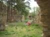 dscn2697_small.jpg