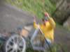 dscn2699_small.jpg