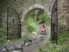 dscn2700_small.jpg