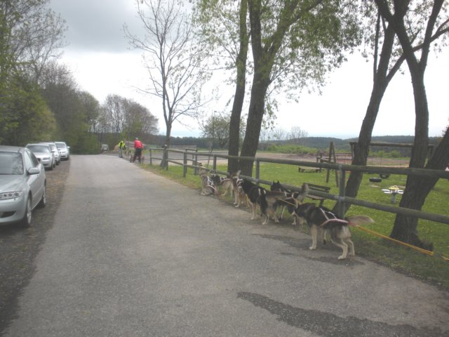 dscn2713.jpg