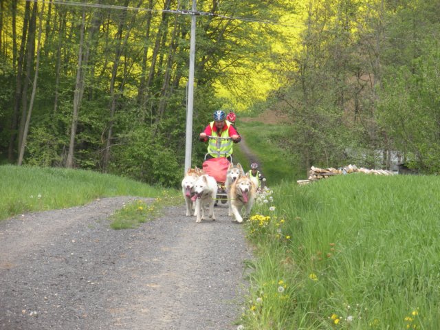 dscn2717.jpg