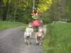 dscn2718_small.jpg
