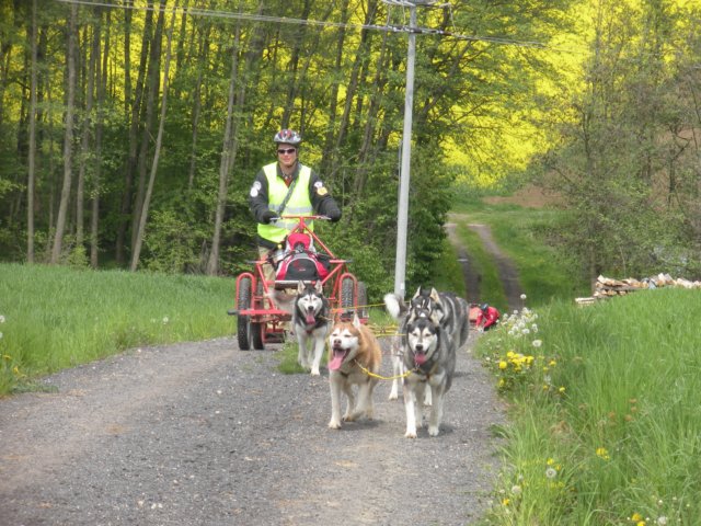 dscn2720.jpg